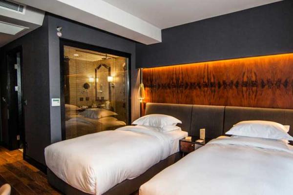Twin Bed Guest Room